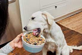 vet approved homemade dog food