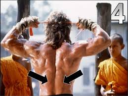 Muscle names' come from latin and greek roots they also are named on how their fibers run, their muscles are names according to size, shape, direction of fibers, location, attachment, number of. Name That Muscle On Stallone Powerpoint Quiz Muscles Muscular Syste