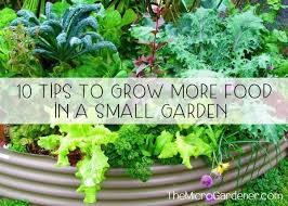 To Grow More Food In A Small Garden