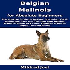 You should never buy a puppy based solely on price. Belgian Malinois For Absolute Beginners Horbuch Download Von Mildred Joel Audible De Gelesen Von Fei Ren