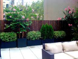Nyc Roof Garden Bamboo Fence Terrace
