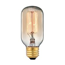 Titan Lighting Ogden Collection 60 Watt Incandescent T6 Medium Base Vintage Filament Light Bulb Tn 10201 The Home Depot