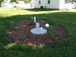 Septic Mound Landscaping