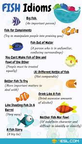 fish idioms 18 useful fish idioms and