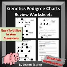 Pedigree Charts Notes Practice Review Worksheets