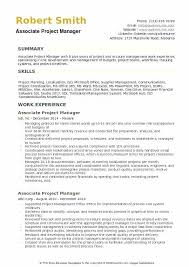Associate Project Manager Resume Objective Example Letsdeliver Co