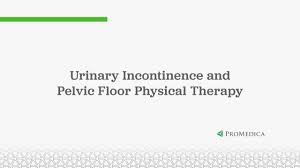 pelvic floor health and incontinence