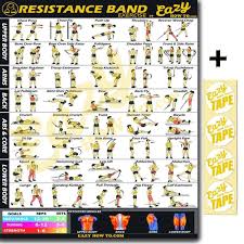 Resistance Band Exercise Workout Banner Poster Big 28 X 20