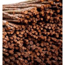 Do not give up anything. Teka Nilgiri Wooden Pole à¤²à¤à¤¡ à¤ à¤ à¤­ à¤µ à¤¡à¤¨ à¤ª à¤² Western Wood Works Surat Id 20452693097