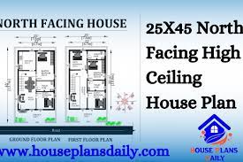 High Ceiling House Plans House Plan