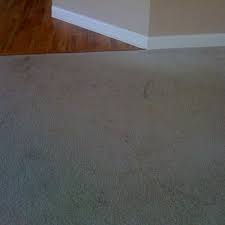 citrusolution carpet cleaning athens