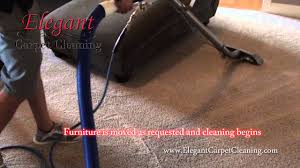 elegant carpet cleaning