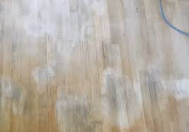dog urine soaked into hardwood floor