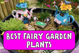 What Plants To Use In A Fairy Garden