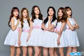 band apink profile age email phone