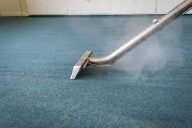 carpet cleaning snohomish king county