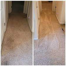carpet cleaning springfield or local