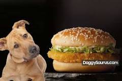 can-a-dog-eat-mcdonalds