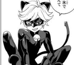 Chat noir manga