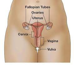 what is cervical cancer