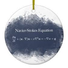 navier stokes equation math science