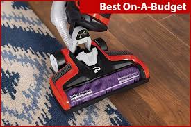 the best pet hair vacuums for dealing