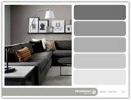 Shades Of Grey With Prominent Paints