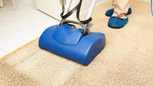 best 15 carpet cleaning houzz au