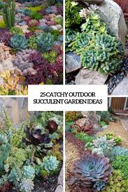 Collection by barbara (olyve) harvie • last updated 13 hours ago. 25 Catchy Outdoor Succulent Garden Ideas Digsdigs