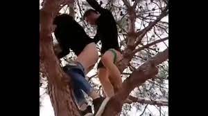 Sex on the tree - XVIDEOS.COM