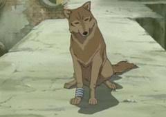 We did not find results for: Them Anime Reviews 4 0 Wolf S Rain