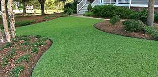 The amount of sod you need is measured in square feet of coverage. Empire Zoysia Nc Sod Mulch