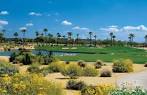 Palm Valley Golf Club - South/West in Goodyear, Arizona, USA ...