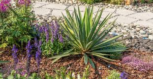 watters garden center resumes garden