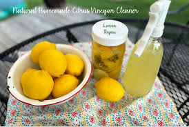 natural homemade citrus vinegar cleaner
