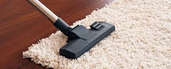 why professionally cleaned carpets can