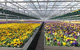 Uks Horticultural Sector Worth 1 4bn