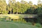 Palmetto Hall - Robert Cupp Course in Hilton Head Island