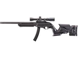 precision stock ruger 10 22