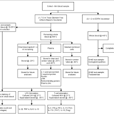 Flow Chart Of Blood Collection And Analysis Download