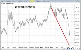 Which Way For Soybeans Investing Com