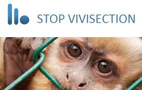 Stop Vivisection Images?q=tbn:ANd9GcQXHWTzcTuNfpfytX3Clml02KE87-3F5jUn_nGHf6t73lc1tkk2Hg