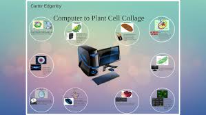 Image result for computer cell photos