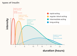 Types Of Insulin Chart Duration Comparison And More
