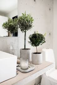 Plants In The Bathroom The Est