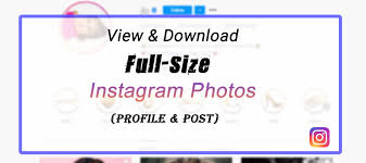 You can find the dp link from the source code of the profile page. 9 Simple Methods To View Full Size Instagram Profile Picture Post Photo