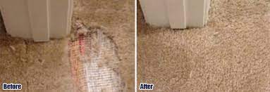 pet damaged carpet 213 536 4934