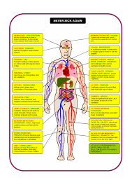 Healthy Body Chart Never Sick Again Diagram Health Care Tips