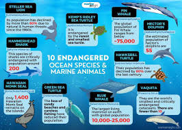 endangered ocean speciearine s