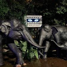 Image result for night safari singapore